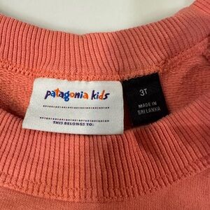 Patagonia Coral Crewneck sweatshirt - 3T 3 toddler unisex